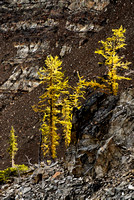 Manning Park