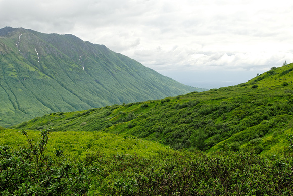 Hatcher Pass is the site of an abandoned mining camp, and of the most amazing green color.