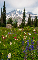 Mt. Rainier & Mt. St. Helens