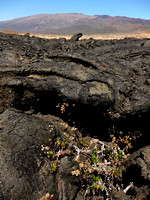 Hawaii's Big Island