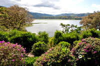 The view from Casona del Cafetal.